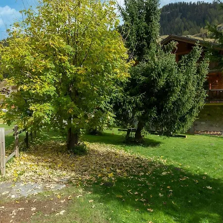 Casa-chalet Du Parc Cosy In With Garden Tignes
